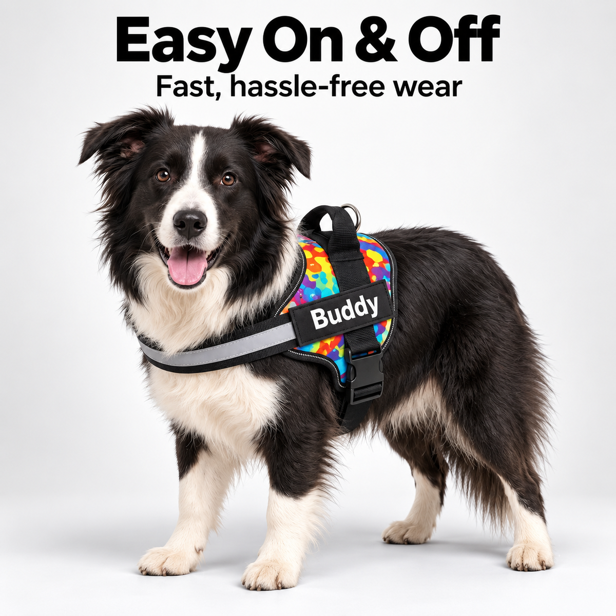 Personalized No Pull Dog Harness