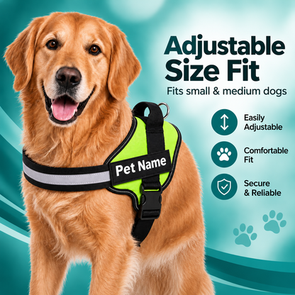 Personalized No Pull Dog Harness