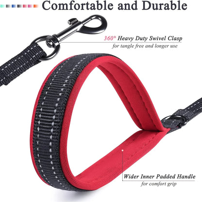 Double Handed Dog Leash