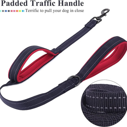 Double Handed Dog Leash