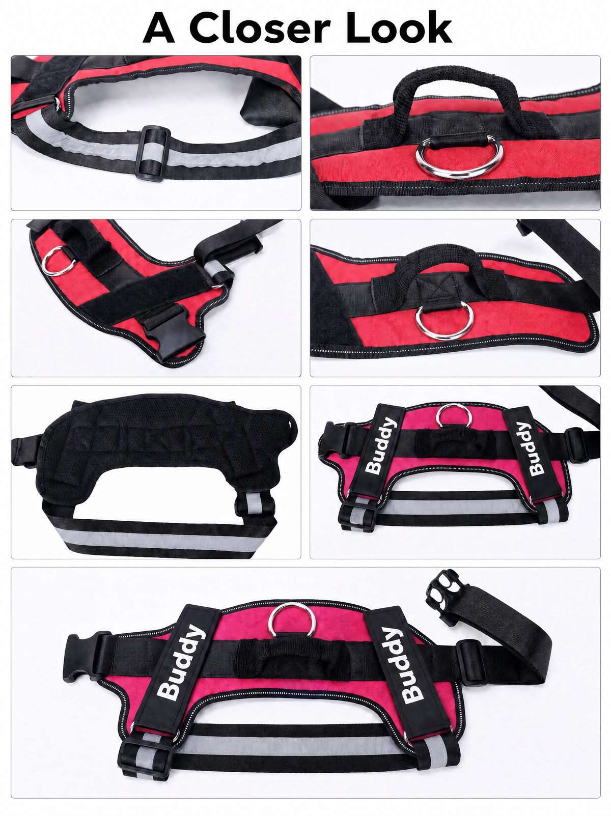 Personalized No Pull Dog Harness